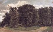 John glover The copse oil painting picture wholesale
